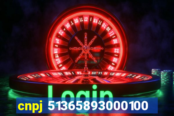 cnpj 51365893000100